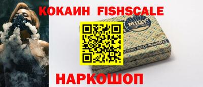 шишки Кандалакша