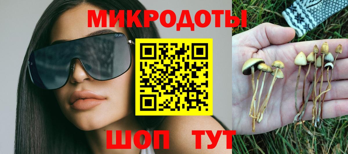 Псилоцибиновые грибы GOLDEN TEACHER Бузулук